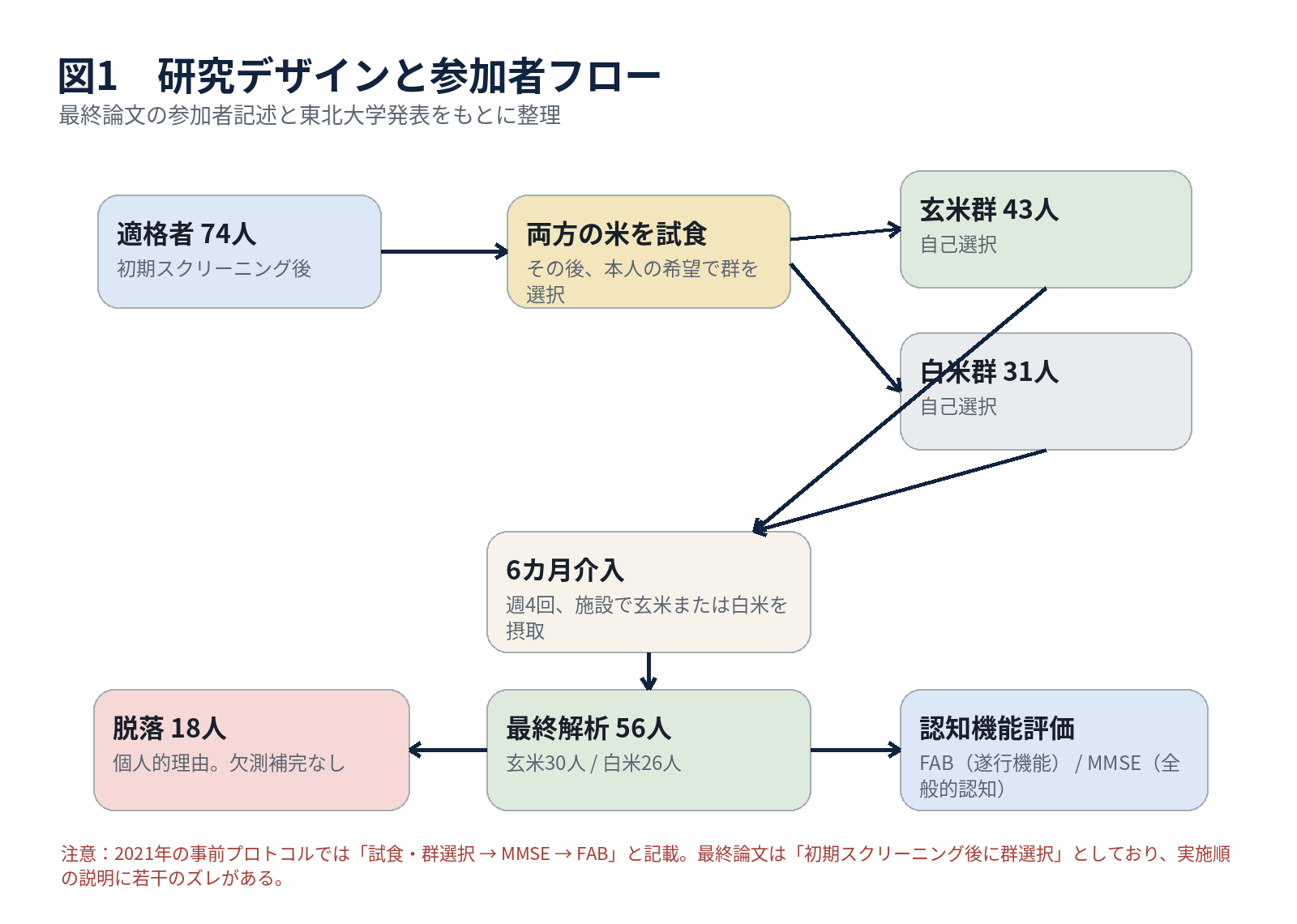 東北大学の玄米研究を検証する研究デザインと参加者フロー